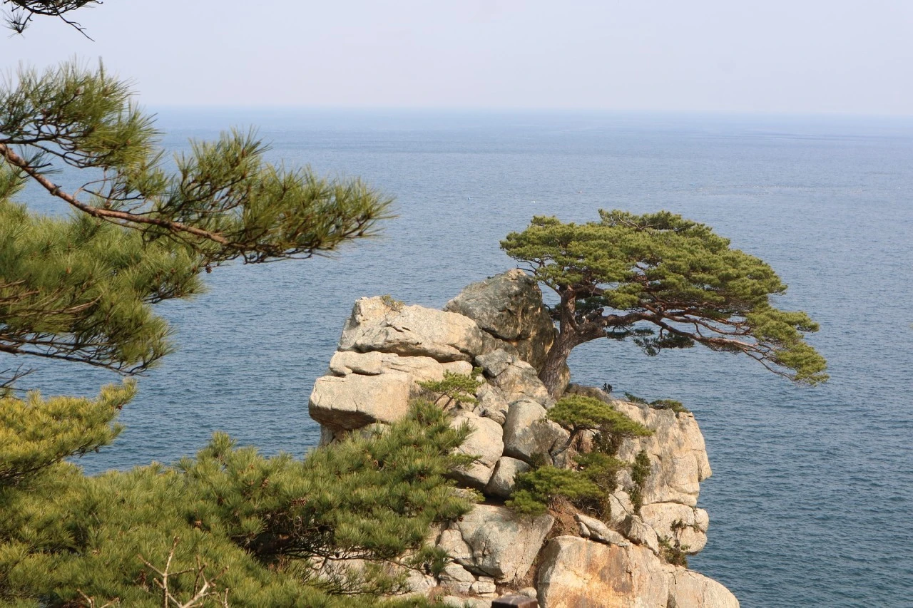 d_8ffUd018svc1ci88g6wsw29u_qmuksn.jpg?type=e1920_std