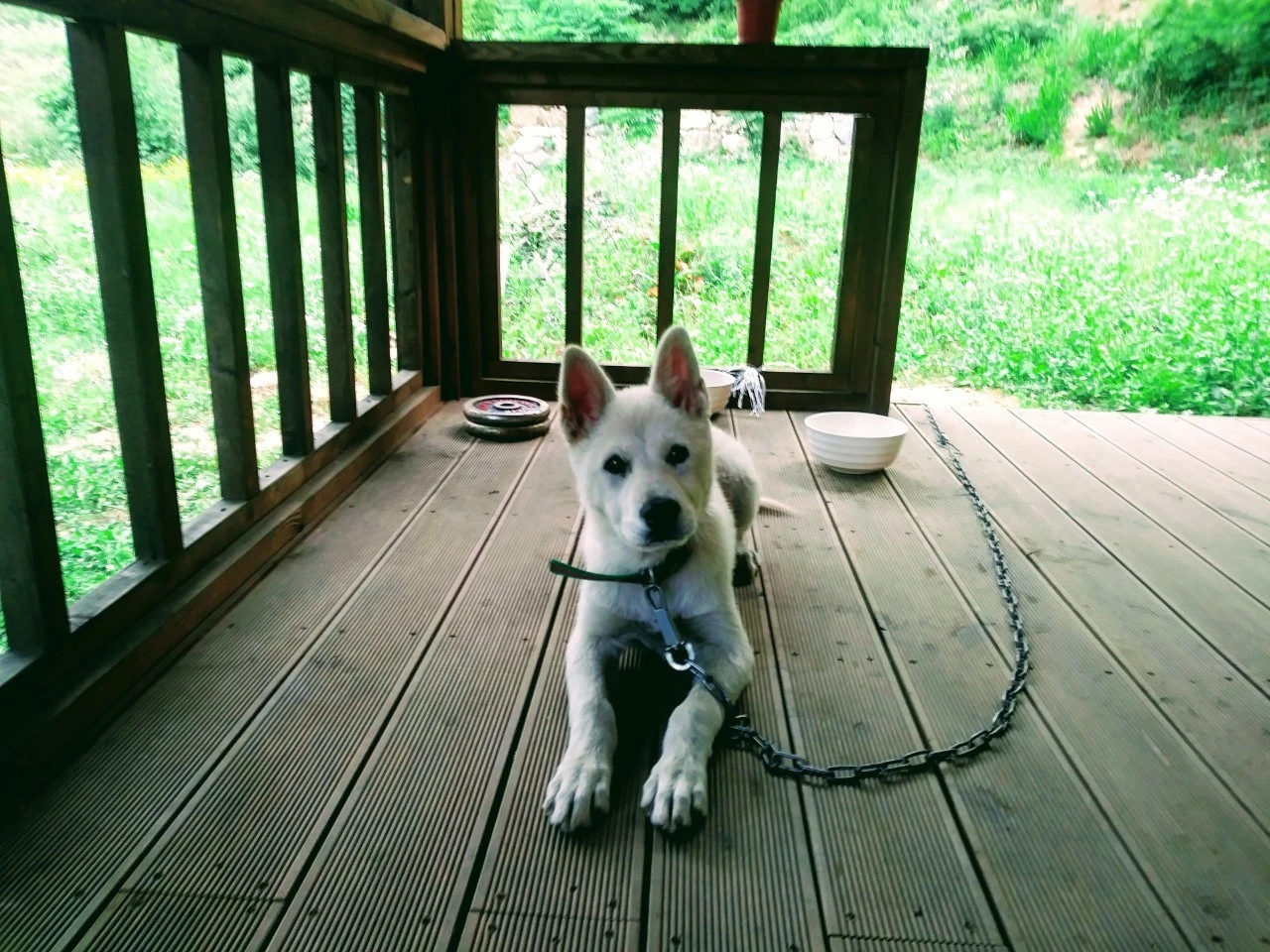 6_6i3Ud018svc2mpv4f7lt08v_qmuksn.jpg?type=e1920_std