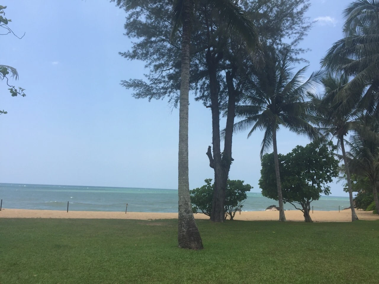 e_8jeUd018svc19dxsckusdkrg_ltunyo.jpg?type=e1280_std