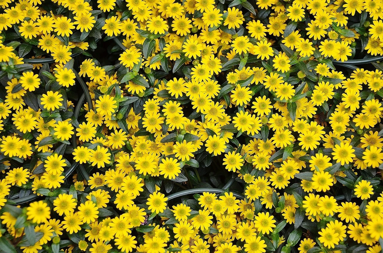 2_16dUd018svc16t0xk4yo0t6v_qmuksn.jpg?type=e1280_std