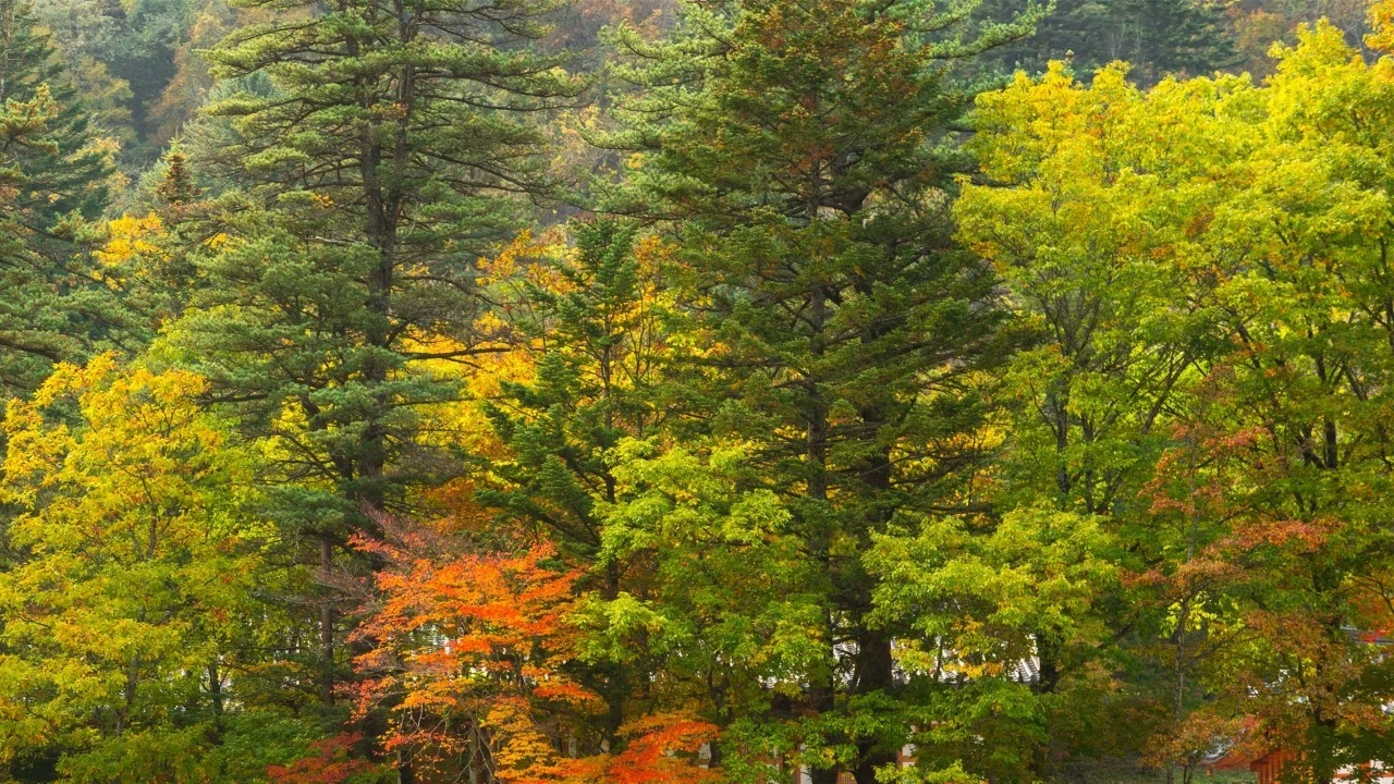 h_9cbUd018svcl8orxegsbnel_qmuksn.jpg?type=e1920_std