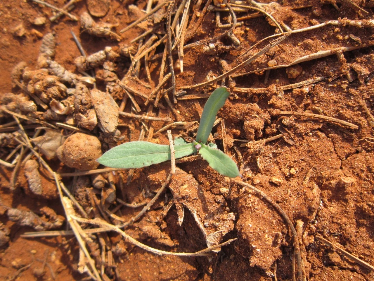 a_96fUd018svc83jyralh8q9f_qmuksn.jpg?type=e1920_std