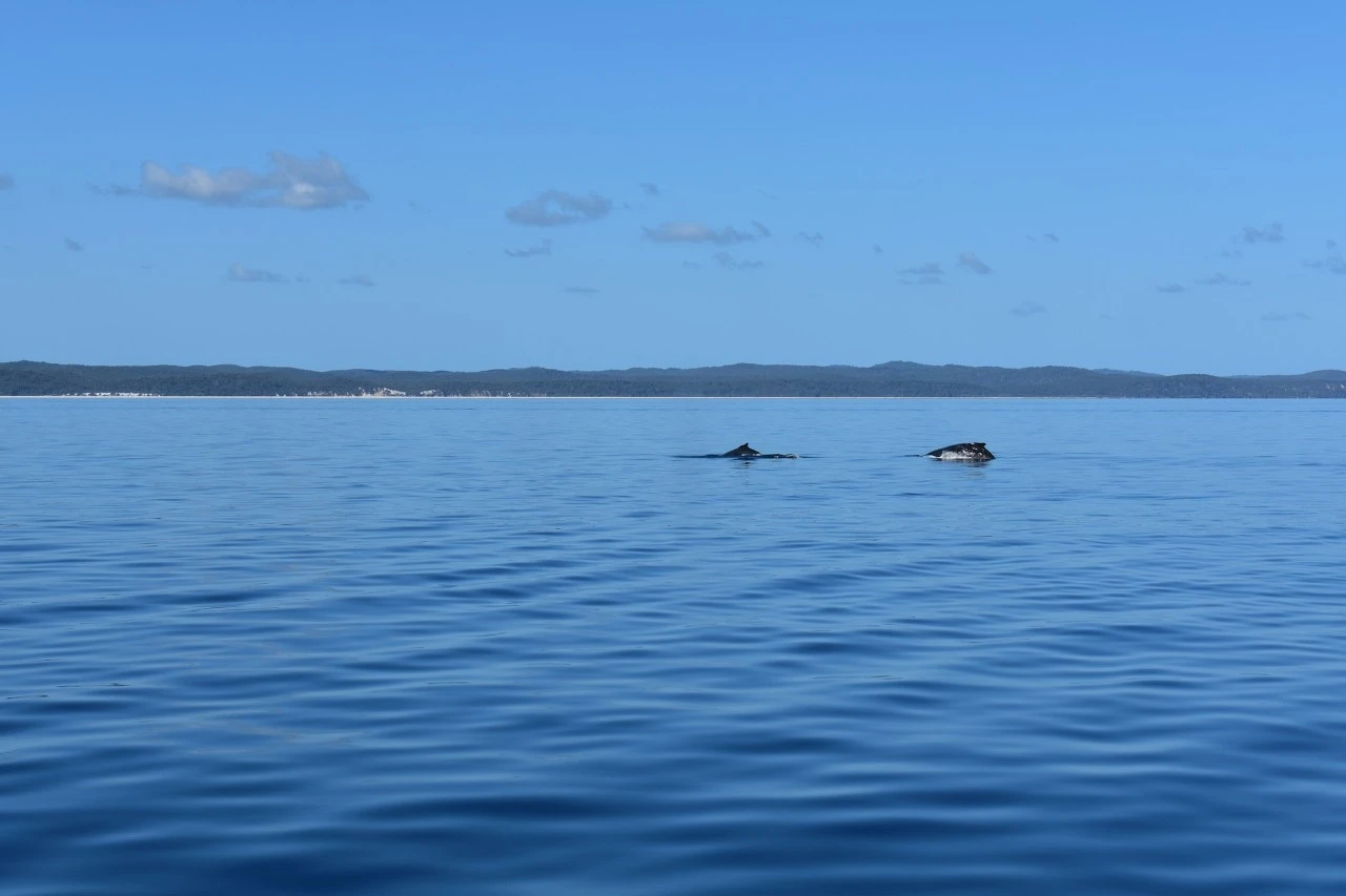 d_14gUd018svc1xg2931ixrk2x_qmuksn.jpg?type=e1920_std