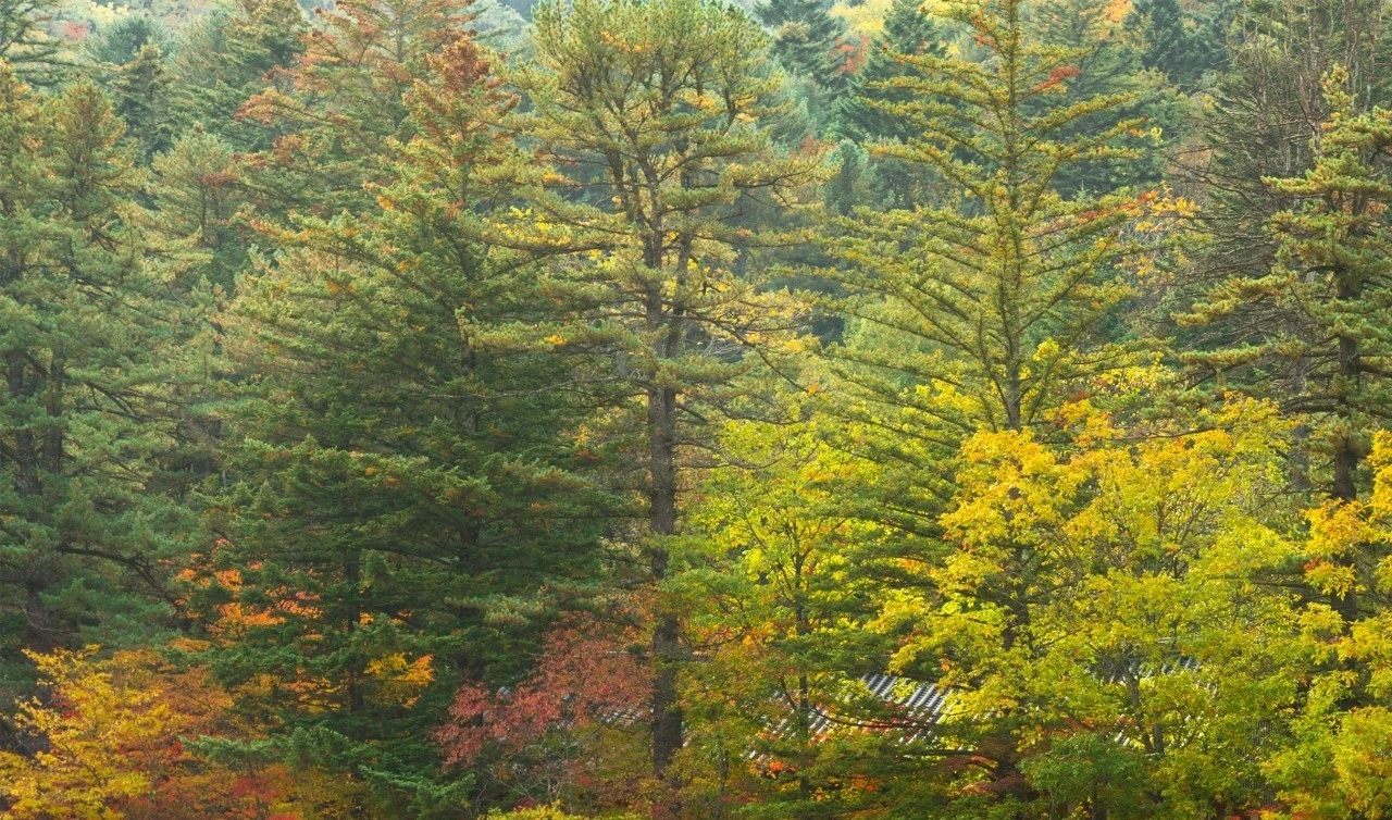 h_bcbUd018svc1wr2fbo58dq0h_qmuksn.jpg?type=e1920_std