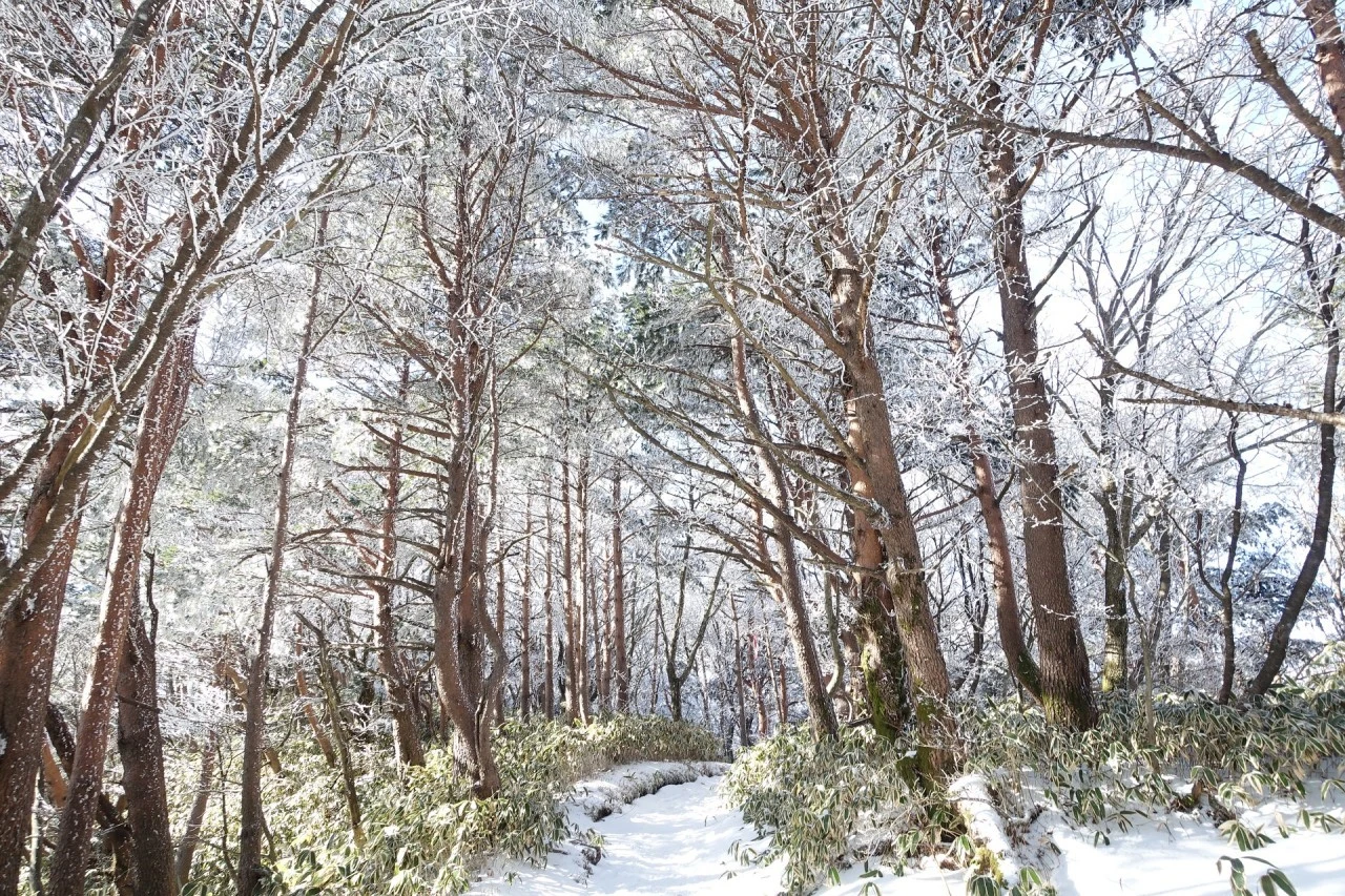 6_d62Ud018svc1vgz7h4og1vj4_qmuksn.jpg?type=e1280_std