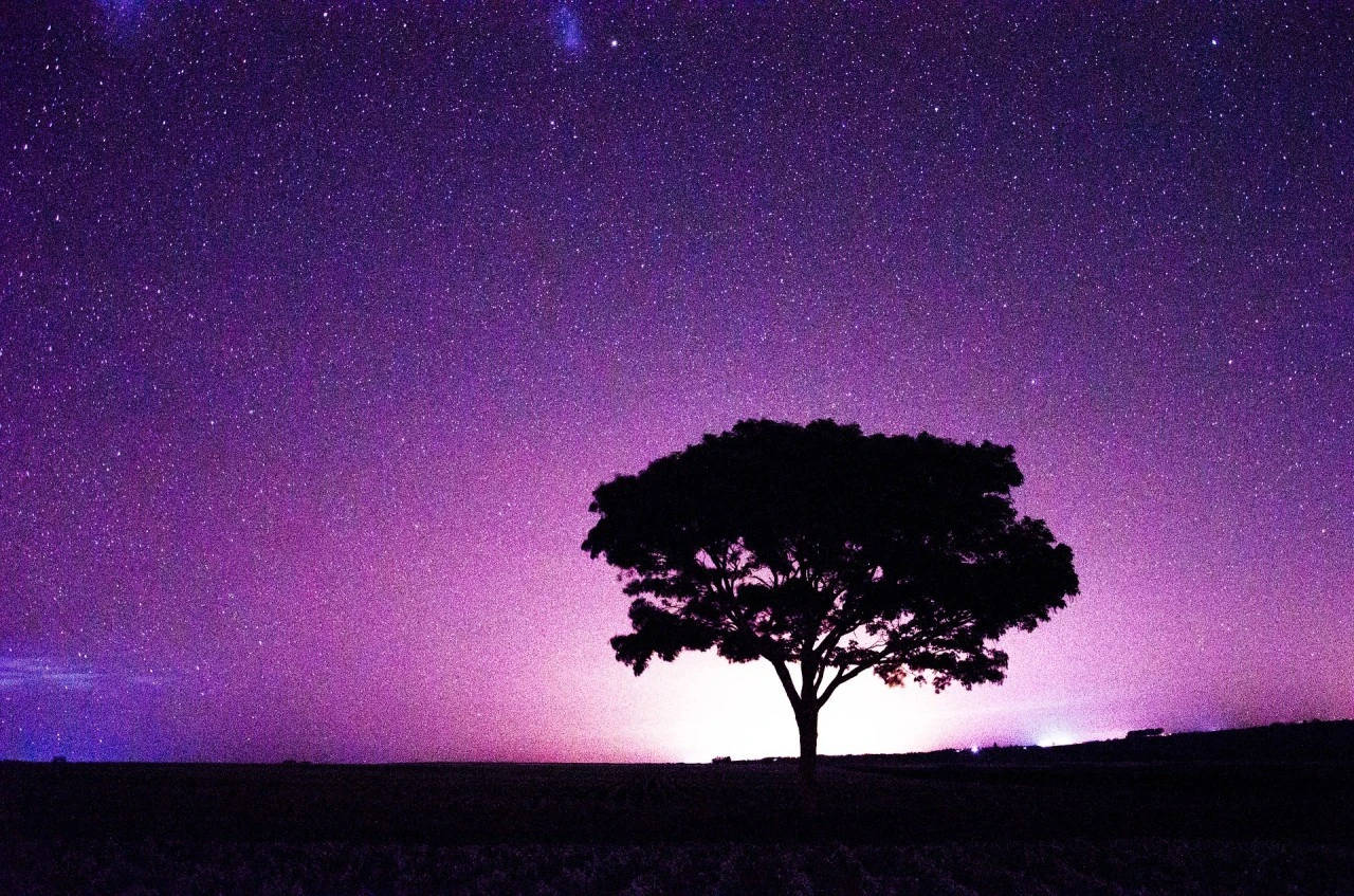 9_812Ud018svckm9nw5rgszo5_qmuksn.jpg?type=e1280_std