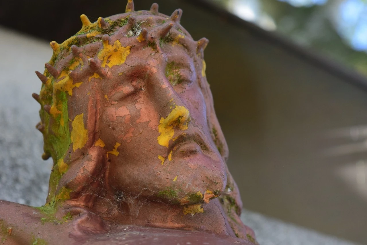 j_679Ud018svc19lst6qr05edr_qmuksn.jpg?type=e1280_std