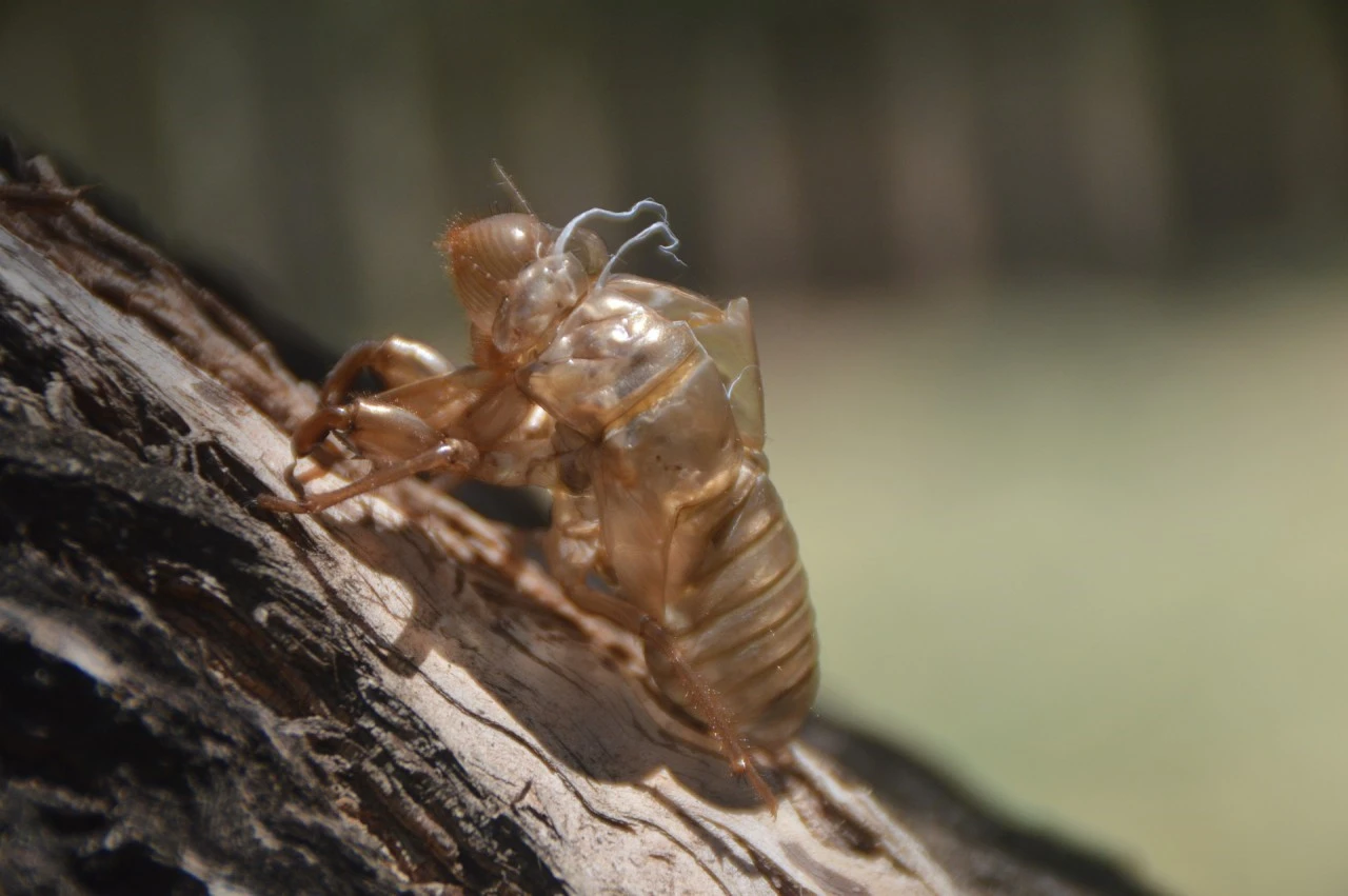 j_bf2Ud018svcuvf9ni5b2dys_qmuksn.jpg?type=e1280_std