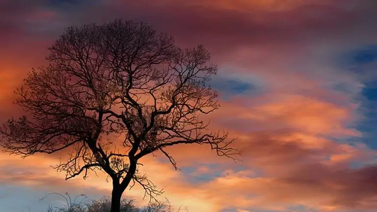 fb1Ud0151d4aubvia12vz_jqg1lz.jpg?type=ff768_432