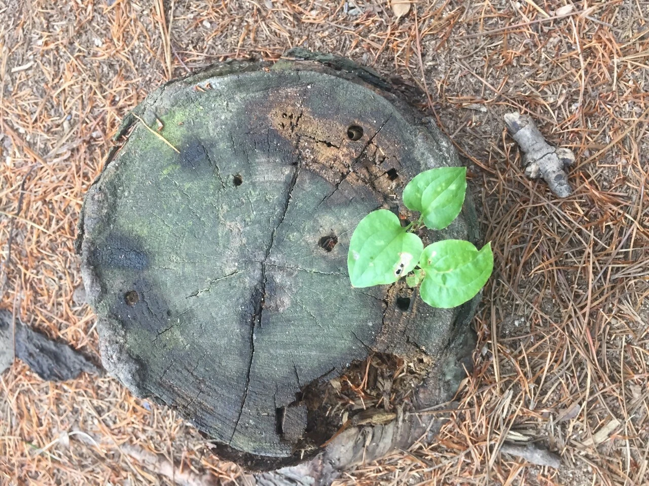 2_c46Ud018svc3ow0rbktqd2y_l0s1n5.jpg?type=e1280_std