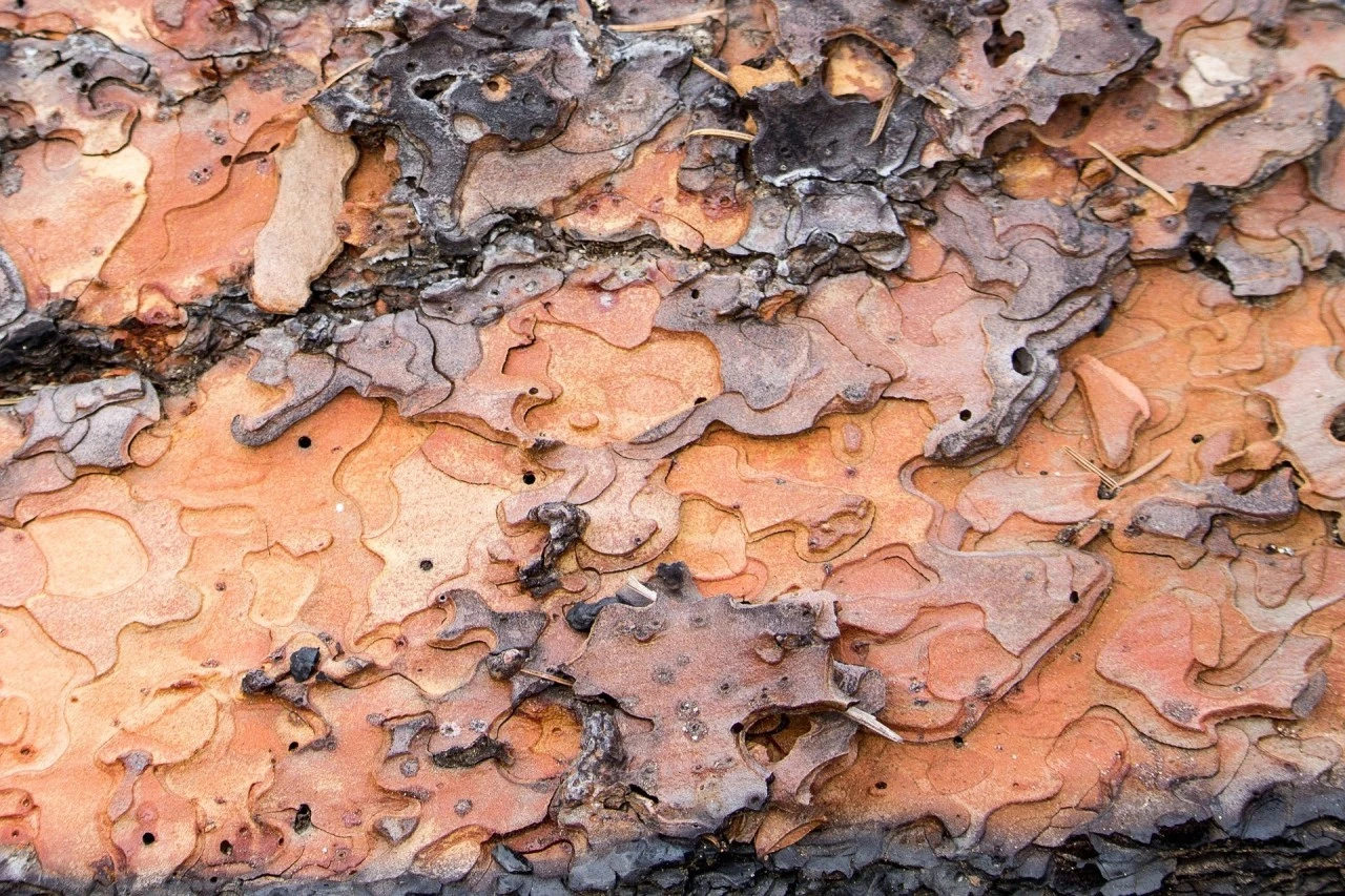 8_709Ud018svc1nt8zhjdale2k_qmuksn.jpg?type=e1280_std