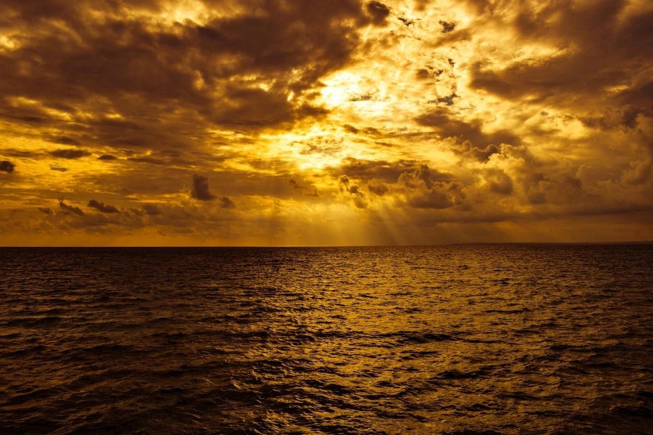 3_g6cUd018svckpgeordsne72_qmuksn.jpg?type=e1920_std