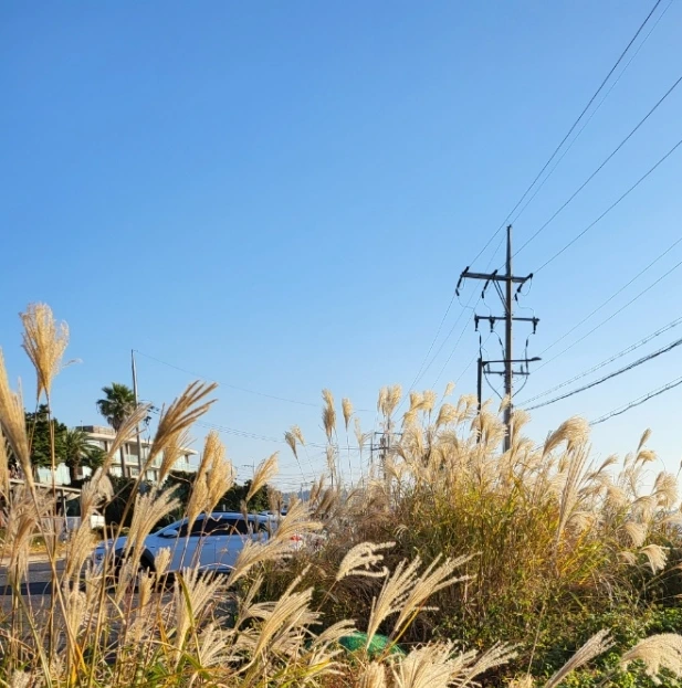 SE-916c8e1c-7e2e-11ee-86ca-7f4830f25458.jpg?type=w773