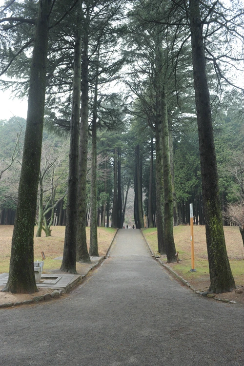 20160310002857_0_99_20160311103209.jpg?type=w540