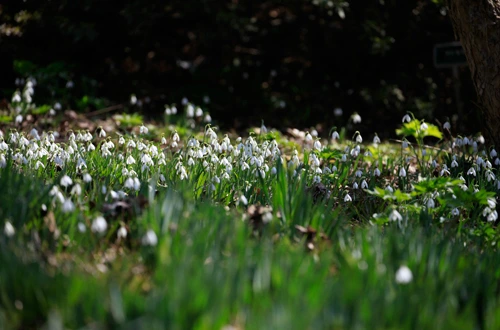 20160324002900_0_99_20160325103208.jpg?type=w540