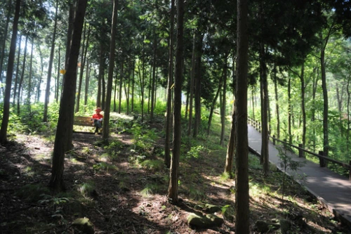 20160713002659_0_99_20160714100417.jpg?type=w540