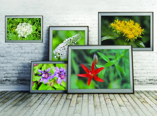 20160720003577_0_99_20160721140528.jpg?type=w540