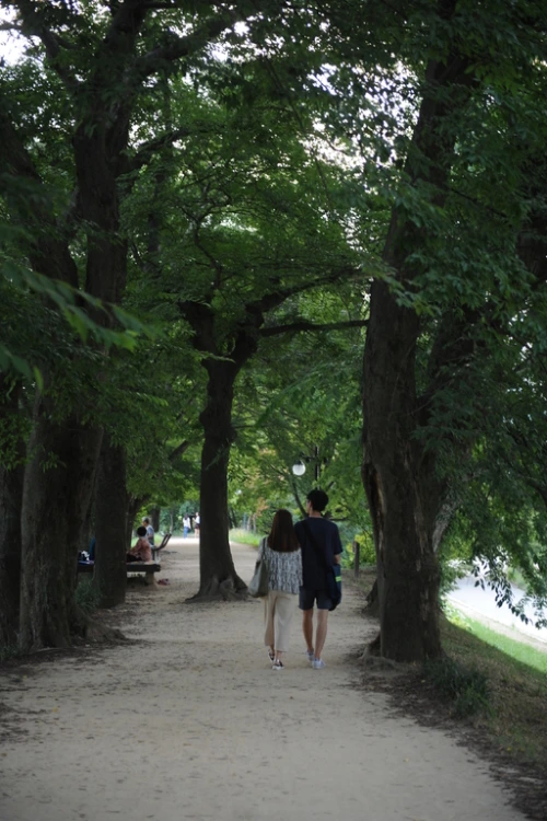 20160831002810_0_99_20160901140314.jpg?type=w540