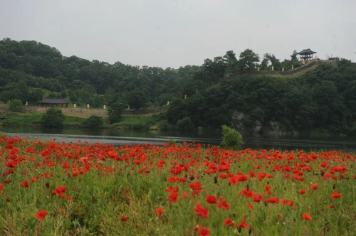 20160602002643_0_99_20160603100205.jpg?type=w540