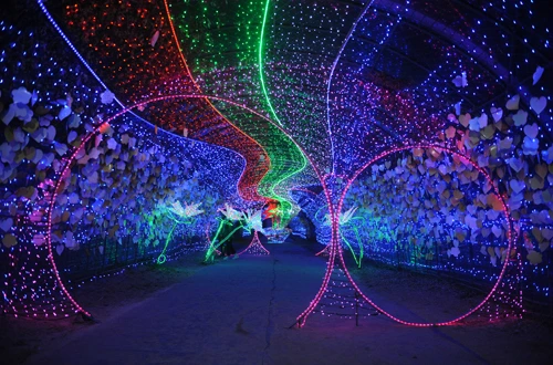 20160324003022_0_99_20160325103220.jpg?type=w540