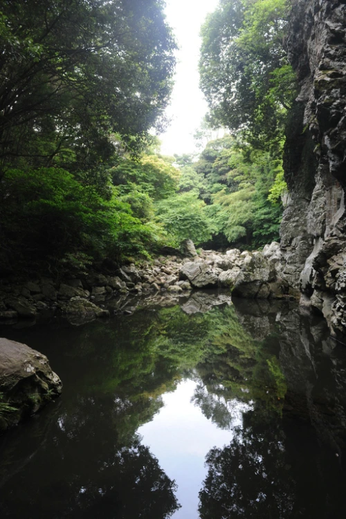 20160615002694_0_99_20160616100326.jpg?type=w540