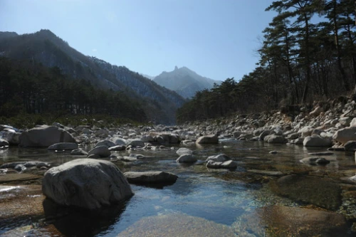 20160317003015_0_99_20160318103218.jpg?type=w540