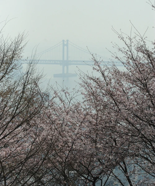 20160407002669_0_99_20160408131704.jpg?type=w540