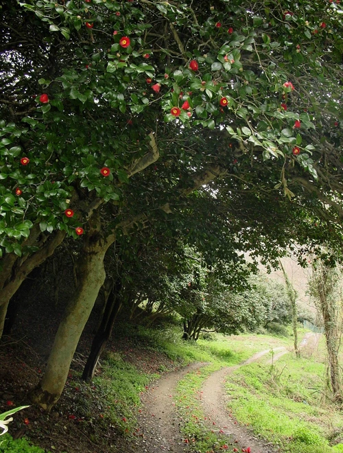 20160414003023_0_99_20160415100220.jpg?type=w540