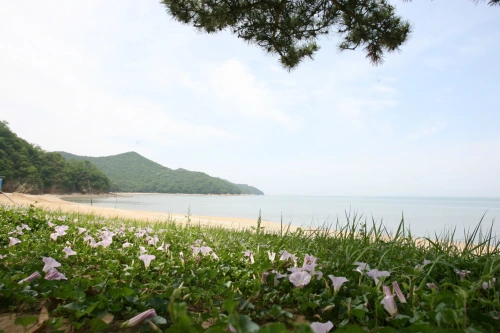 20160512002690_0_99_20160513100215.jpg?type=w540