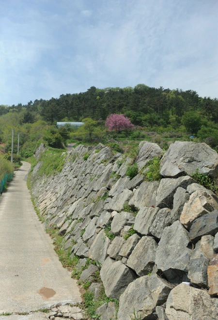 20160428002947_0_99_20160429103221.jpg?type=w540