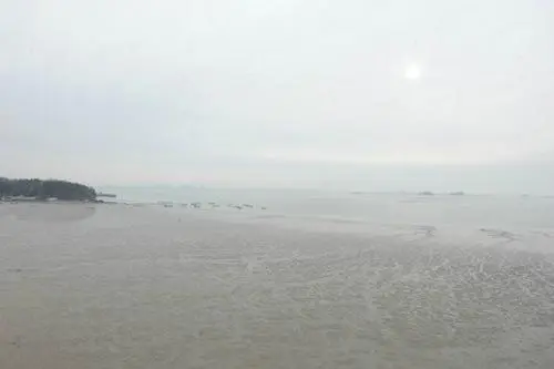 20160225003179_0_99_20160226130904.jpg?type=w540