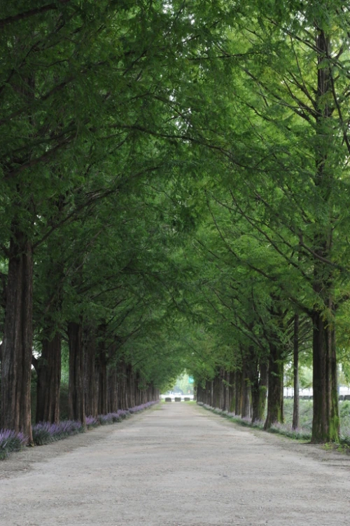 20160831002811_0_99_20160901140314.jpg?type=w540