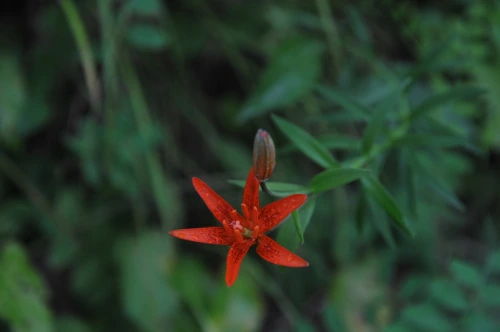 20160720002817_0_99_20160721140528.jpg?type=w540