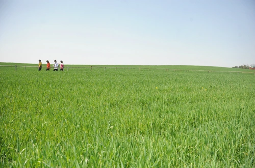 20160414002918_0_99_20160415100307.jpg?type=w540