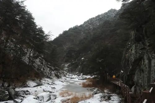 20160211002429_0_99_20160212143308.jpg?type=w540