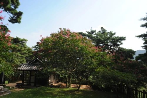 20160831002771_0_99_20160901140314.jpg?type=w540