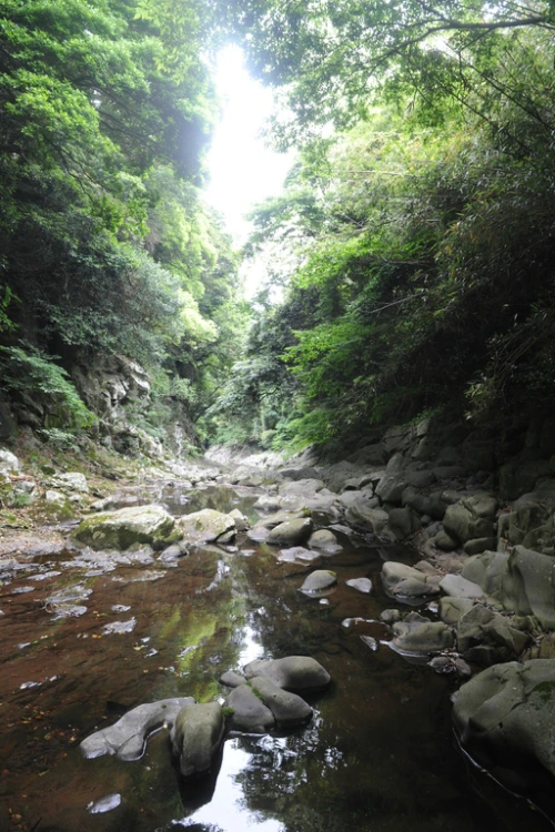 20160615002703_0_99_20160616100326.jpg?type=w540