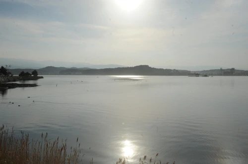 20160519002976_0_99_20160520100214.jpg?type=w540