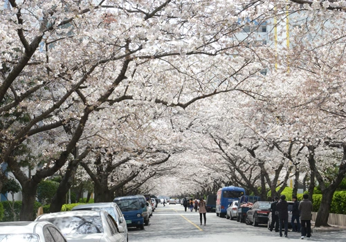 20160407002660_0_99_20160408131704.jpg?type=w540