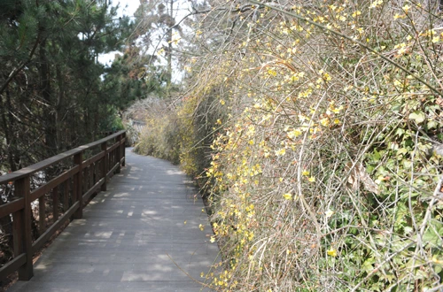 20160324002869_0_99_20160325103208.jpg?type=w540