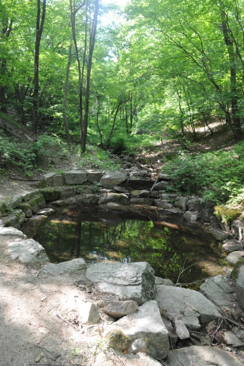 20160608002895_0_99_20160609103321.jpg?type=w540