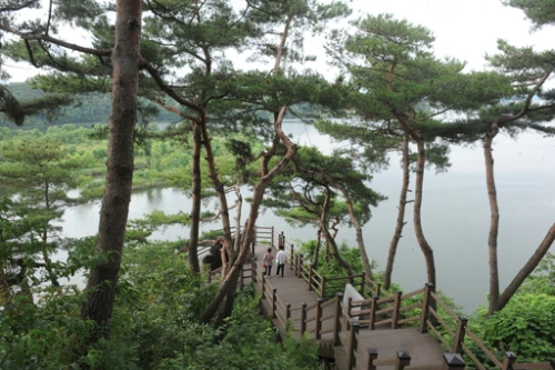 20160706002865_0_99_20160707100424.jpg?type=w540