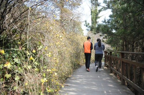 20160324002871_0_99_20160325103208.jpg?type=w540