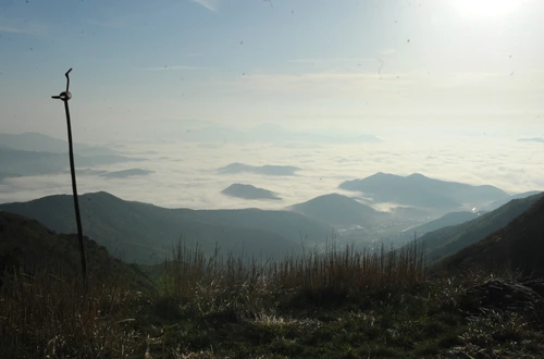 20160428002798_0_99_20160429112504.jpg?type=w540