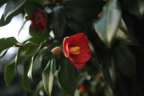 20160225003139_0_99_20160225193104.jpg?type=w540