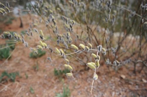 20160324002903_0_99_20160325103208.jpg?type=w540