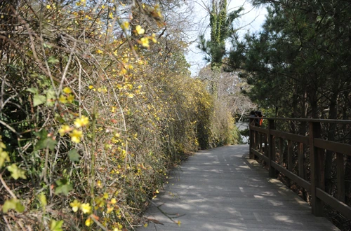 20160324002870_0_99_20160325103208.jpg?type=w540