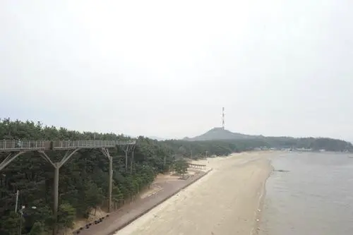 20160225003180_0_99_20160226130904.jpg?type=w540