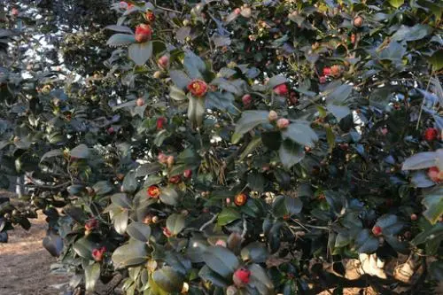 20160225003130_0_99_20160225193104.jpg?type=w540