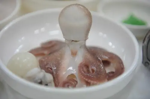 20160225003138_0_99_20160225193104.jpg?type=w540